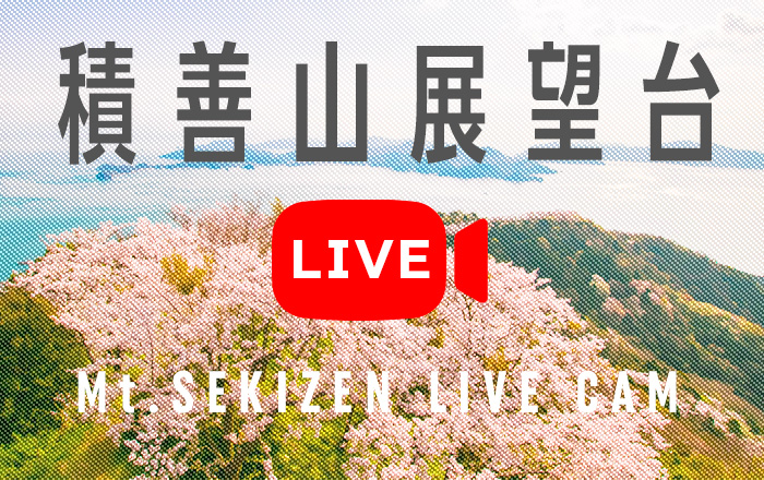 積善山展望台