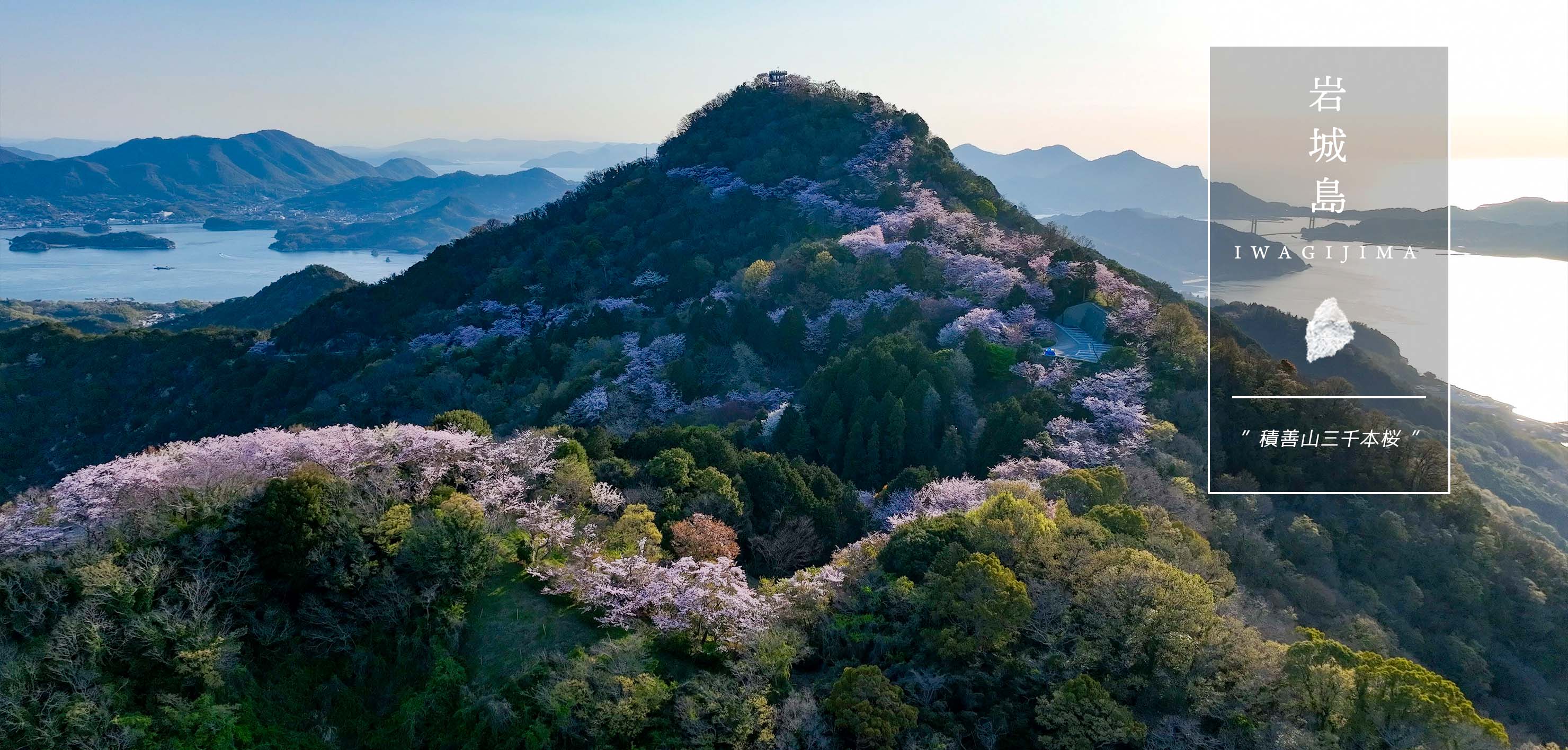 積善山三千本桜