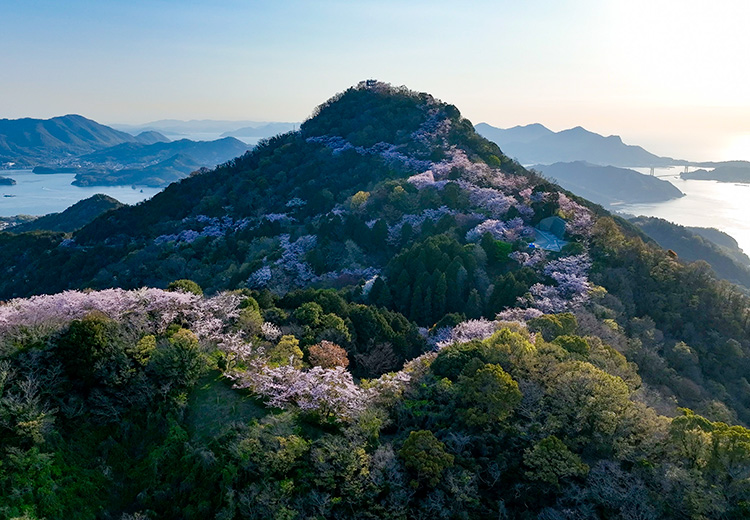 岩城島 | 瀬戸内かみじまトリップ-上島町観光ガイド | 上島町公式観光