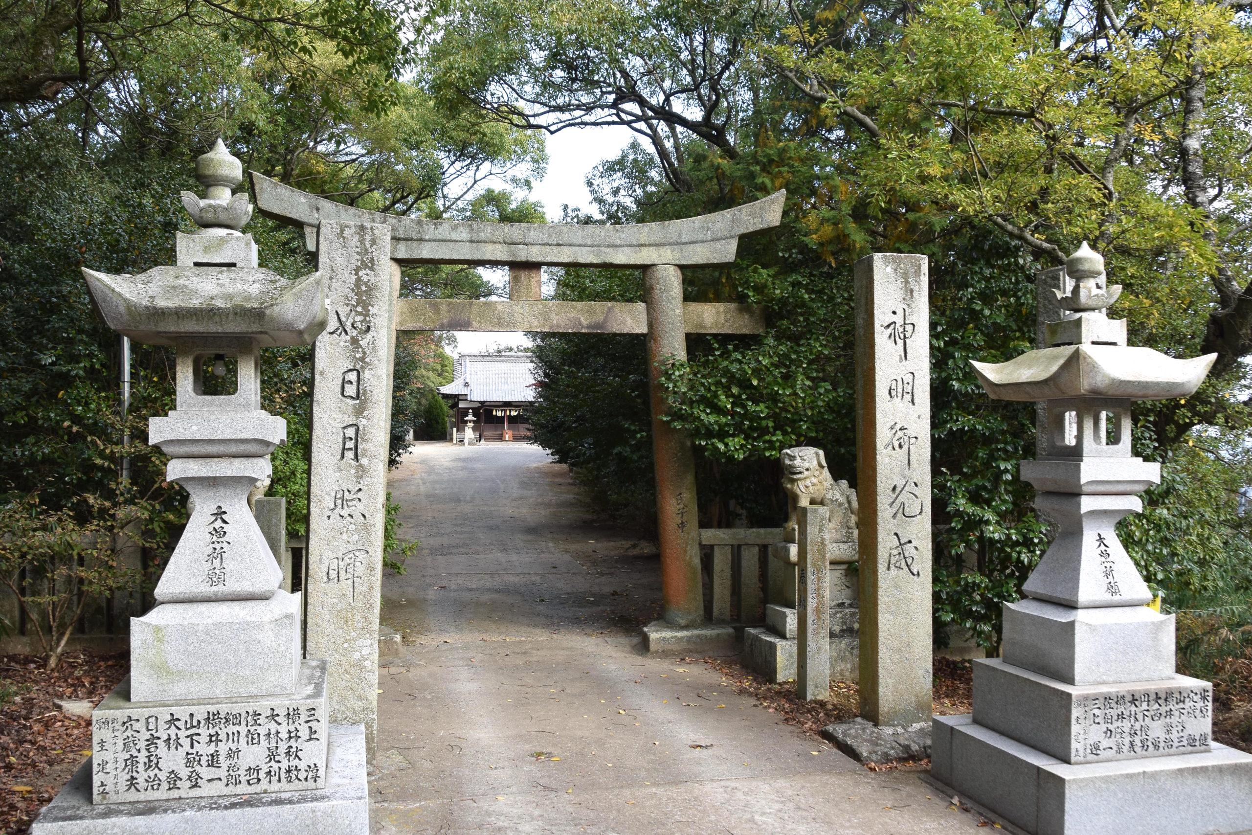 画像