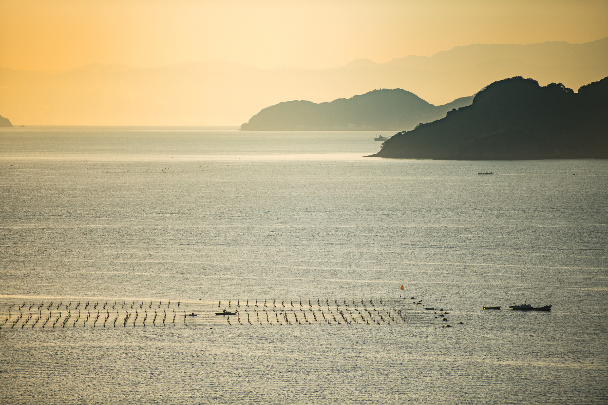 海苔を訪ねる離島旅