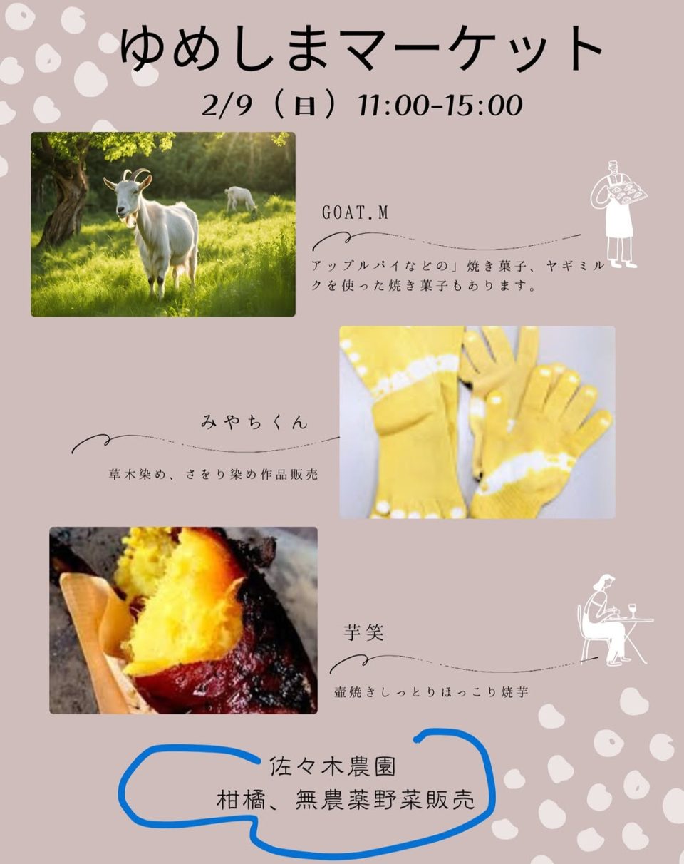 ゆめしまマーケット 2月