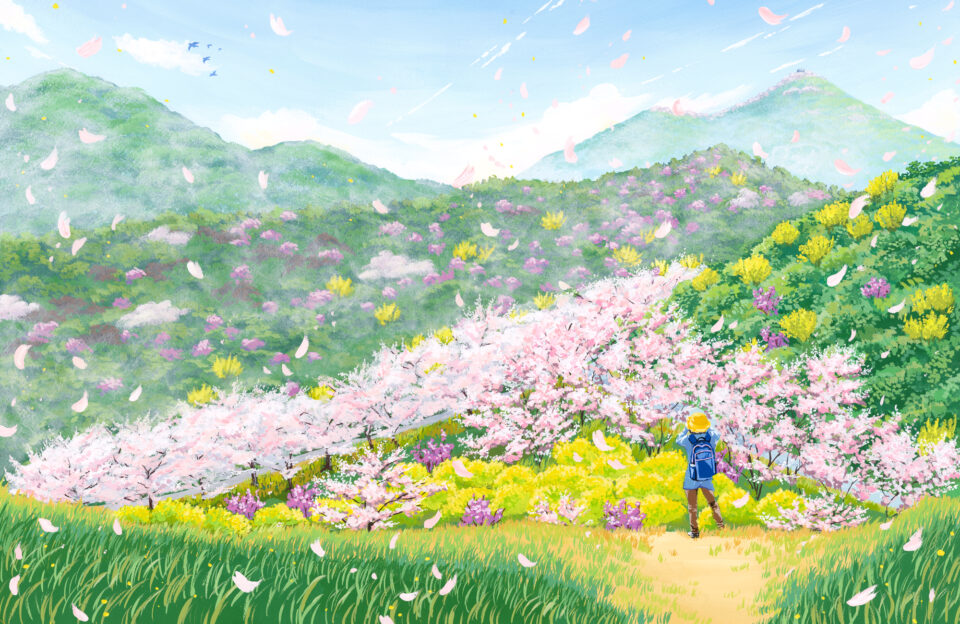 2026 いわぎ桜まつり