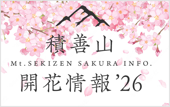 積善山開花情報